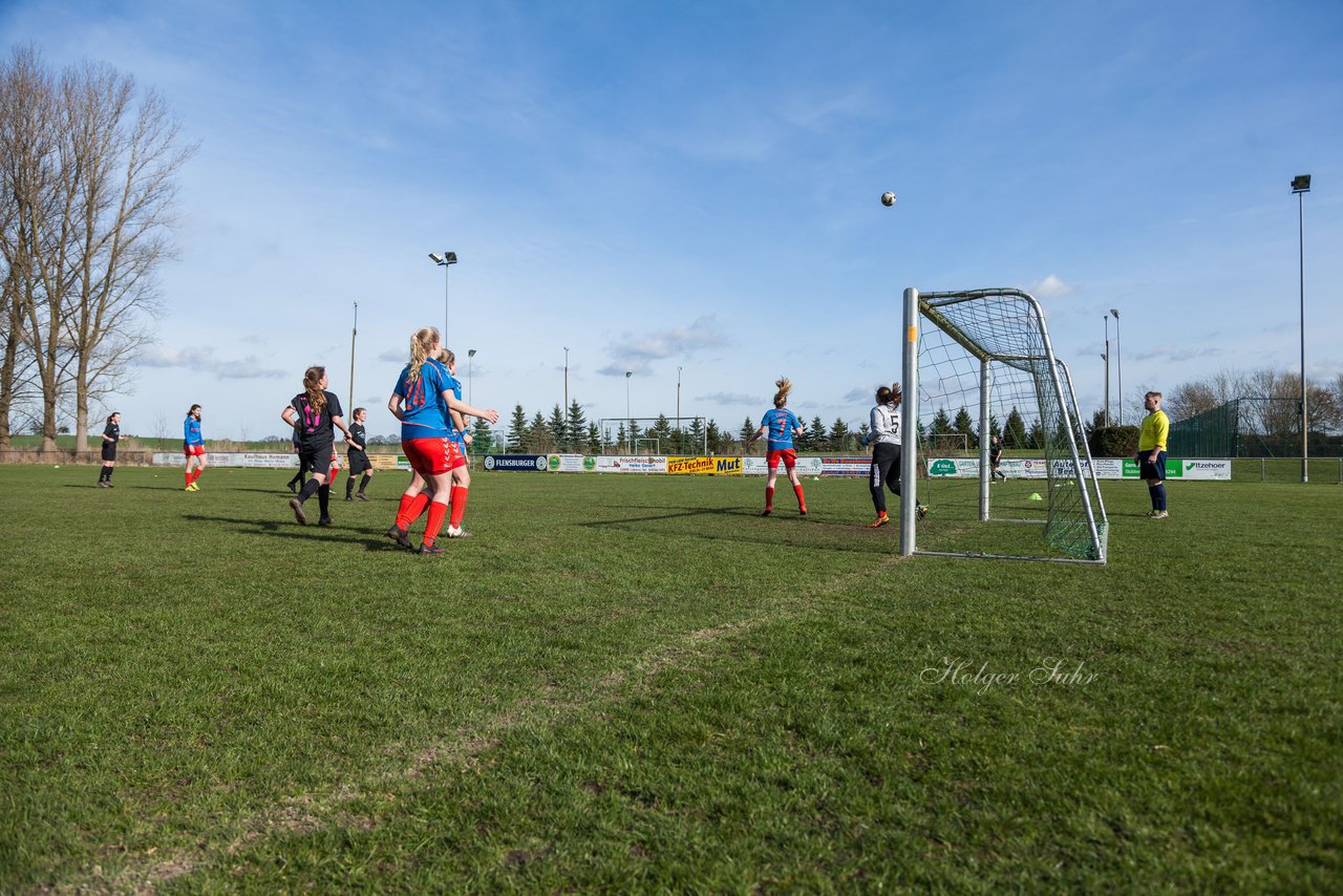 Bild 262 - C-Juniorinnen SV Steinhorst/Labenz - TSV Friedrichsberg-Busdorf : Ergebnis: 5:0